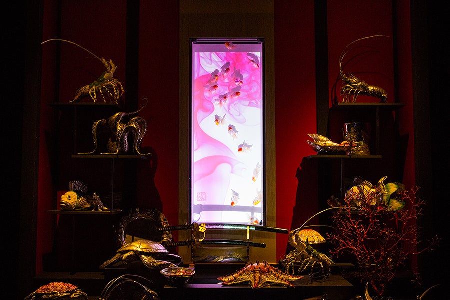 日本橋ナイトアクアリウム17