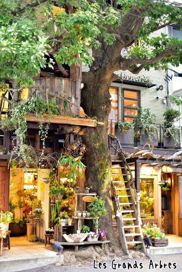 レ・グラン・ザルブル