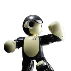 ダンスロボット/プロデュース/演出:ロボットゆうえんち/岡本正行、ロボットモーション製作:ロボットゆうえんち/Dr.GIY