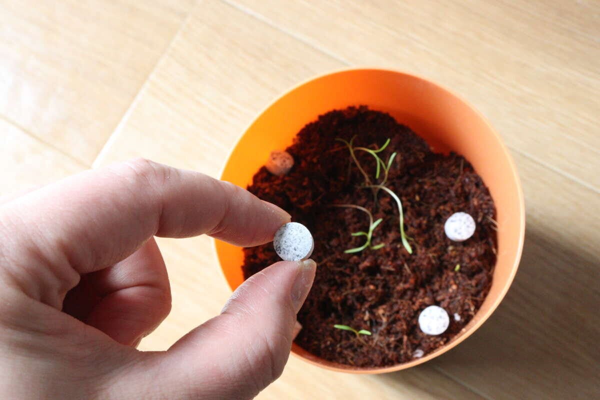 ダイソー プロミック ダイソー プロミック