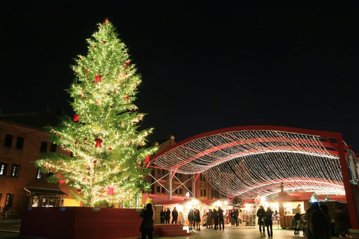 ツリー／画像提供：株式会社 横浜赤レンガ