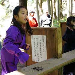 忍者になりきって手裏剣打ち!(提供画像)