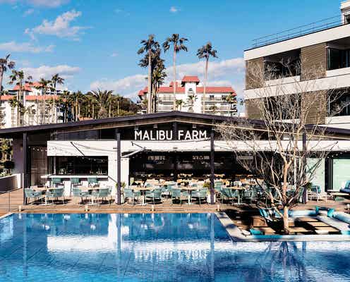 「マリブファーム」日本初上陸レストランが逗子に、潮風を感じるテラス席も完備