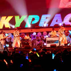 スカイピース「SkyPeace Live at YOKOHAMA ARENA -Get Back The Dreams-」（提供写真）