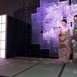 江戸桜ふぶきイメージ