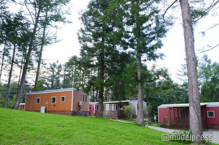 木々に囲まれたコテージ棟（C）モデルプレス