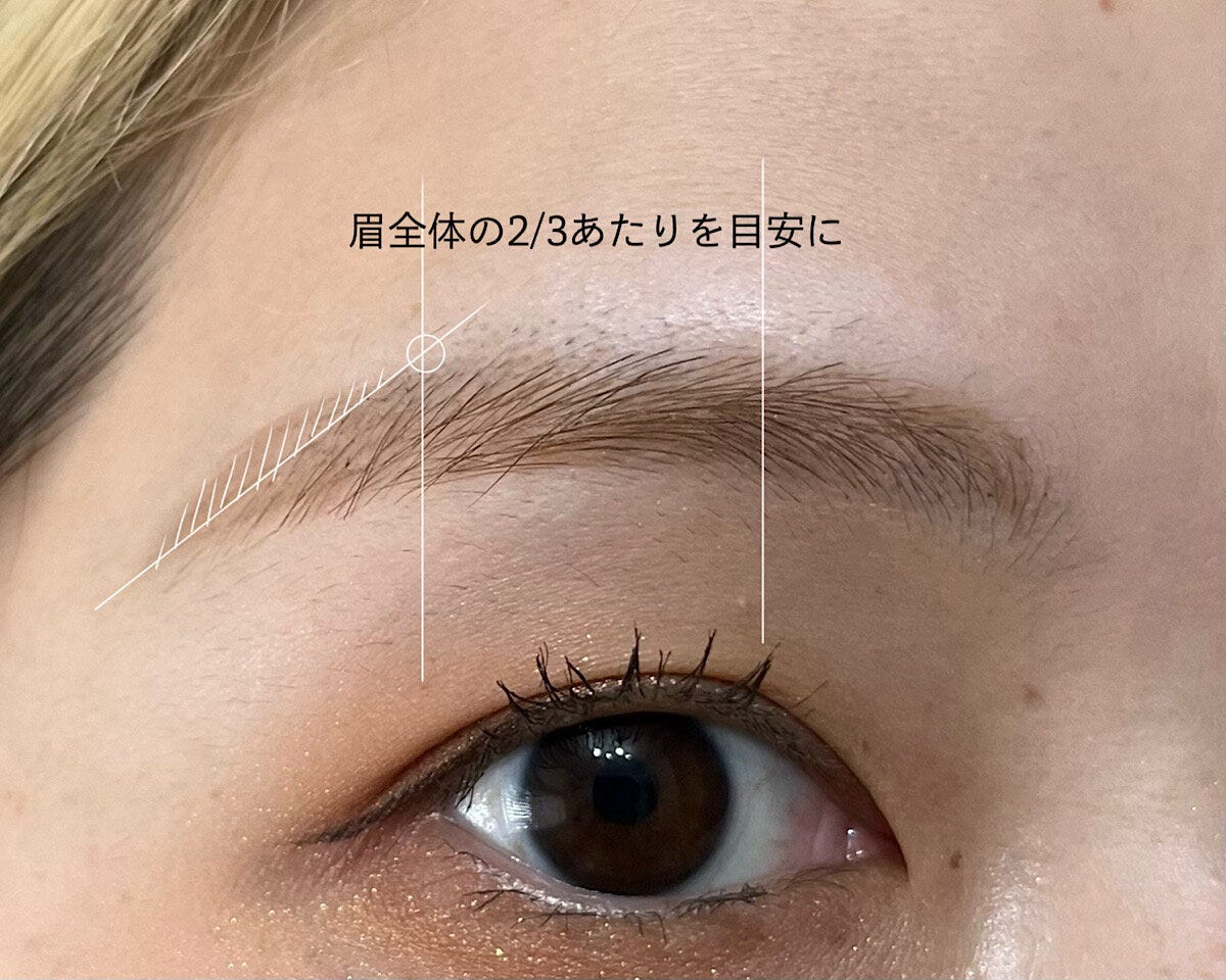 眉全体の2／3あたりを目安に新しい眉山を設定