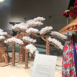 「まとふ」 8年間のコレクション集積した展覧会開催