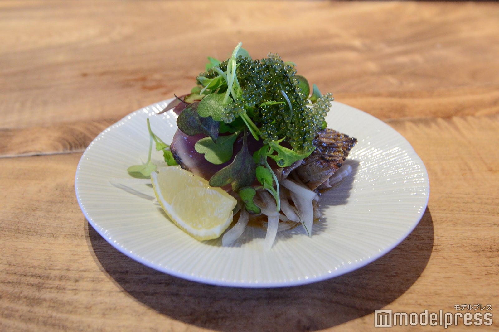 Shirakachi（C）モデルプレス