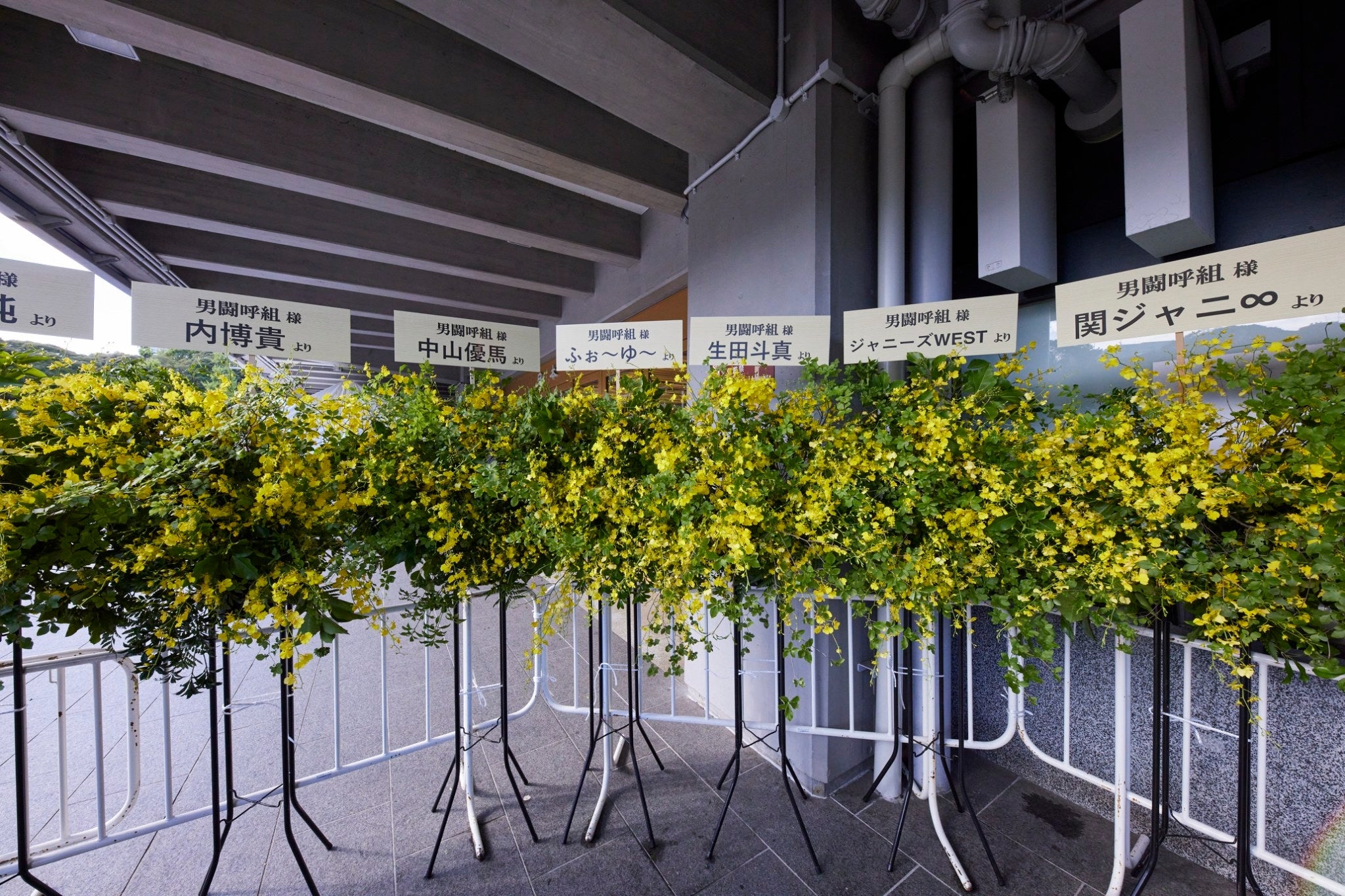 男闘呼組「LASTFOREVER」より（提供写真）