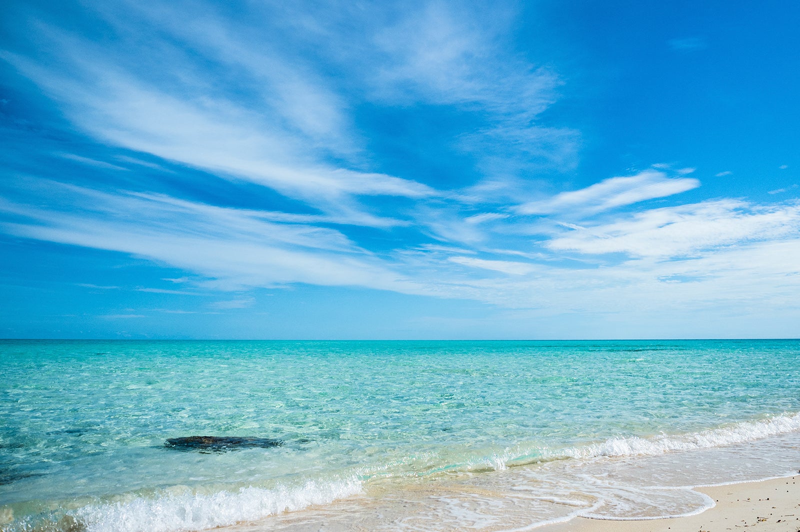 MSCクルーズ×女子旅プレス特設サイト