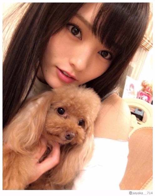 NMB48山本彩、愛犬をぎゅっ　癒しショットにファン悶絶「ありえん可愛さ」