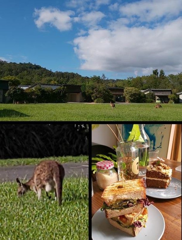 「カランビン・バレー」ならカンガルーと遭遇できるかも（参加者撮影）