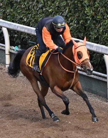 【愛知杯】チェルビアット 待望タイトルへ万全態勢 思惑通りの追い切り 高野師「いいコンディション」