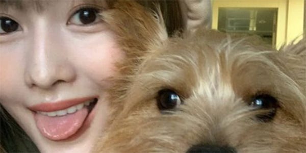 Twiceモモ 愛犬との 顔そっくり ショット公開に 可愛すぎる 本当にそっくり の声 モデルプレス Twiceモモ 愛犬との 顔そっくり ショット公開に 可愛すぎる 本当にそっくり の声 モデルプレス