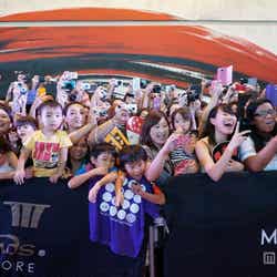 映画「謎解きはディナーのあとで」レッドカーペット