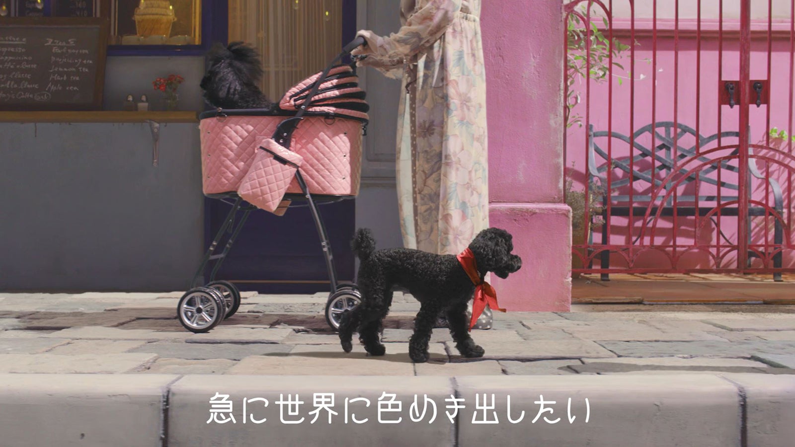 「吸収しやすいワタナベマユ」より（提供写真）