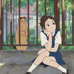 「猫の恩返し」のワンシーン（C）2002　猫乃手堂・Studio　Ghibli・NDHMT