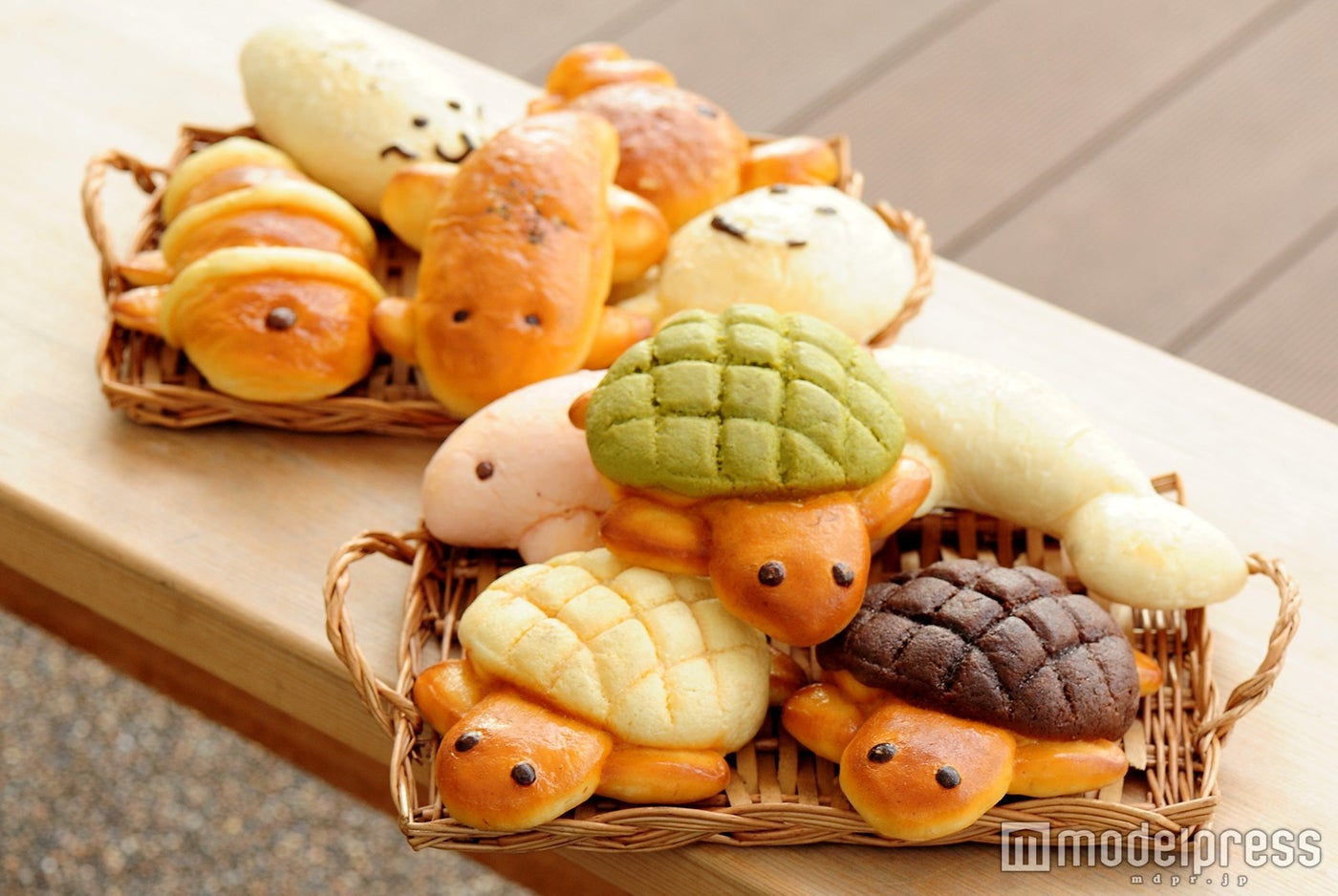 すいぞくパン各330円（税込み）／画像提供：京都水族館