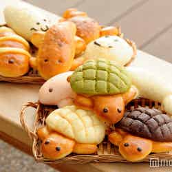 すいぞくパン各330円（税込み）／画像提供：京都水族館