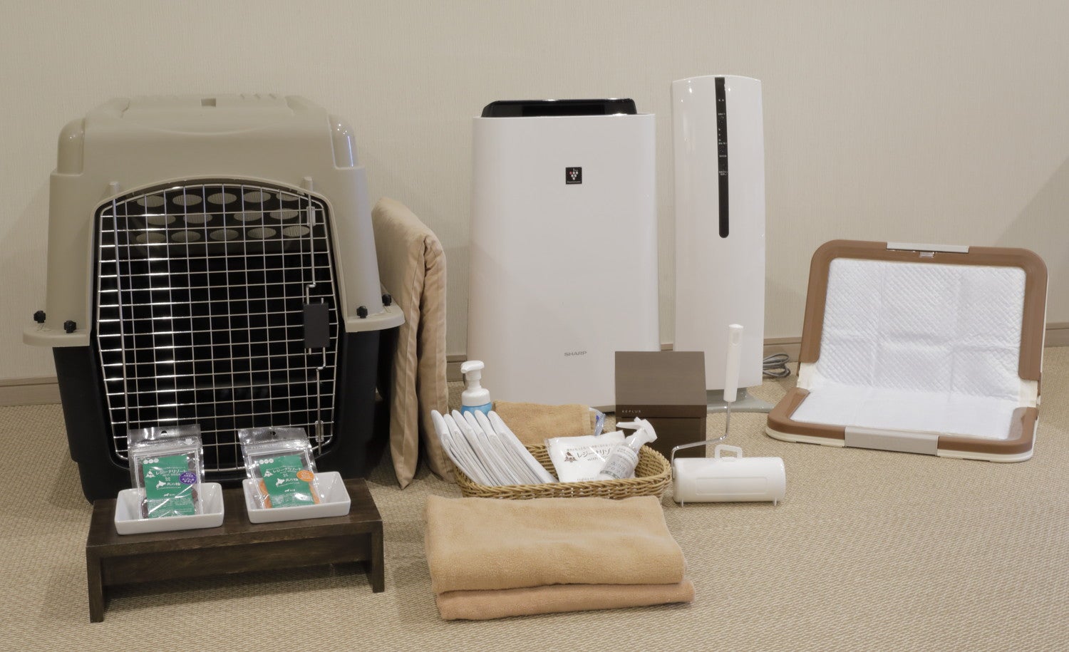 レジーナリゾート山中湖／提供画像