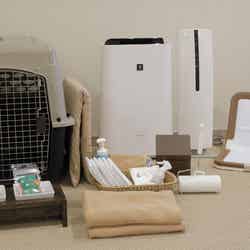 レジーナリゾート山中湖/提供画像