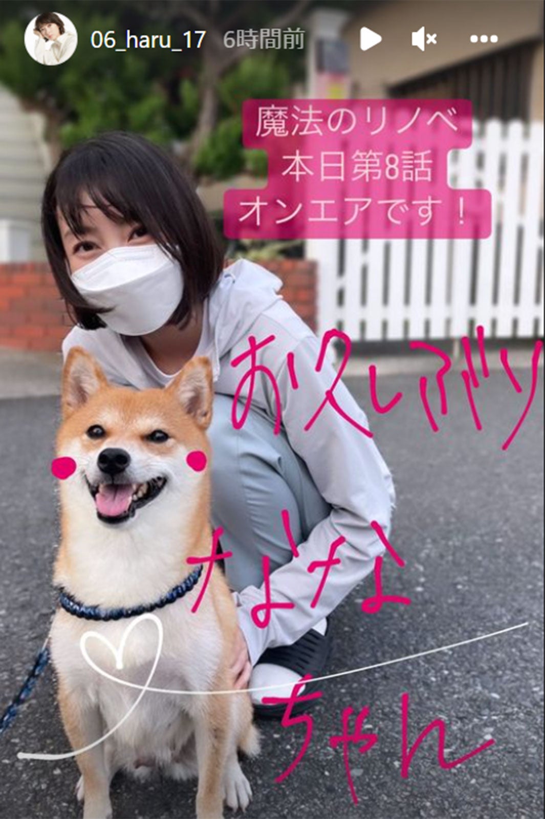 波瑠、ななちゃん／波瑠Instagramストーリーズより