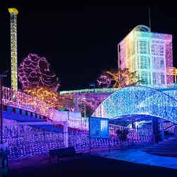 過去開催時の様子/提供画像