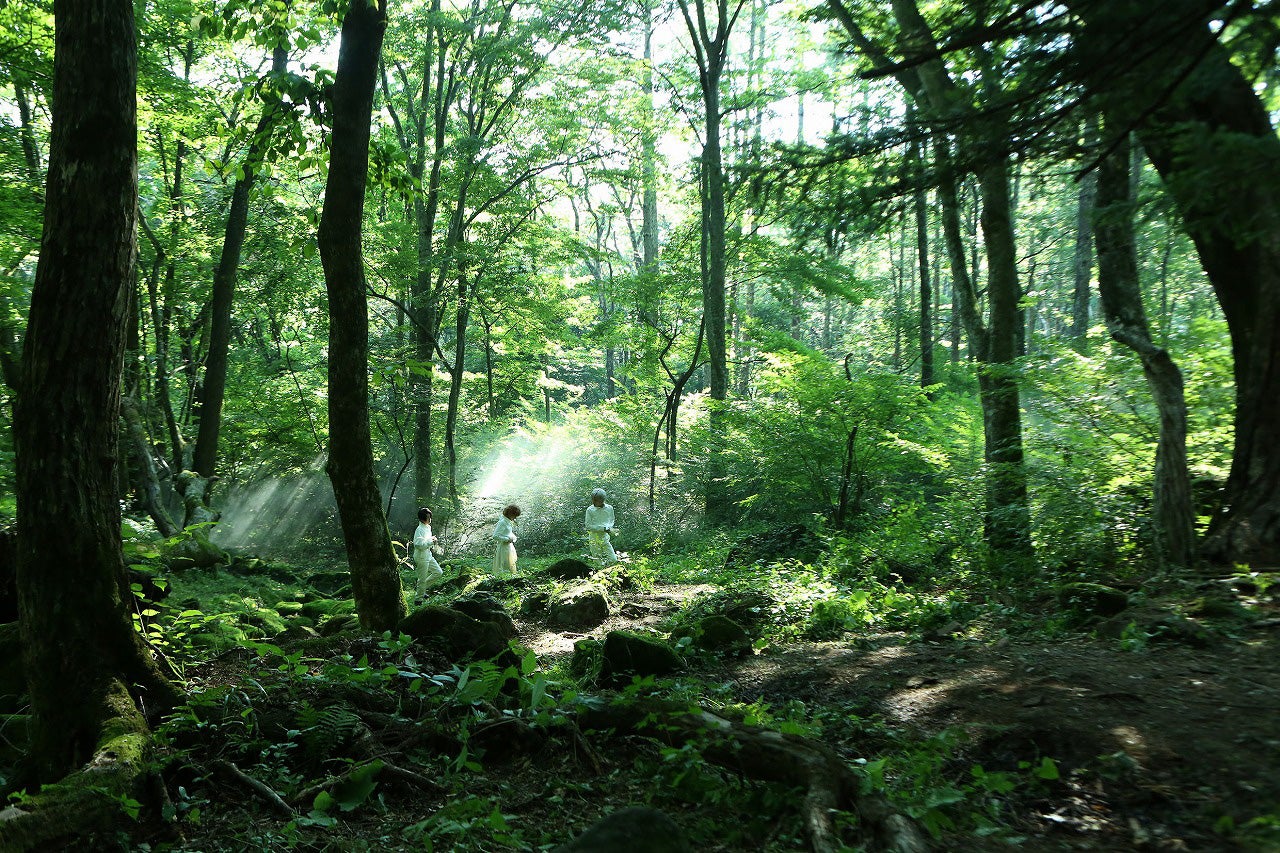 映画「約束のネバーランド」より（C）2020 映画「約束のネバーランド」製作委員会