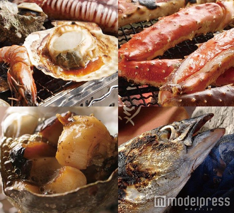 「ジャパン・フィッシャーマンズ・フェスティバル2016 極旨！さかな祭」イメージ／画像提供：ジャパン・フィッシャーマンズ・フェスティバル実行委員会