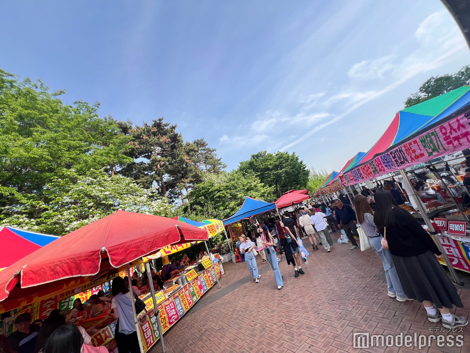 「SEVENTEEN TOUR 'FOLLOW' AGAIN TO SEOUL」韓国現地の様子（C）モデルプレス