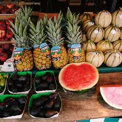 朝市マルシェ/画像提供:所属事務所