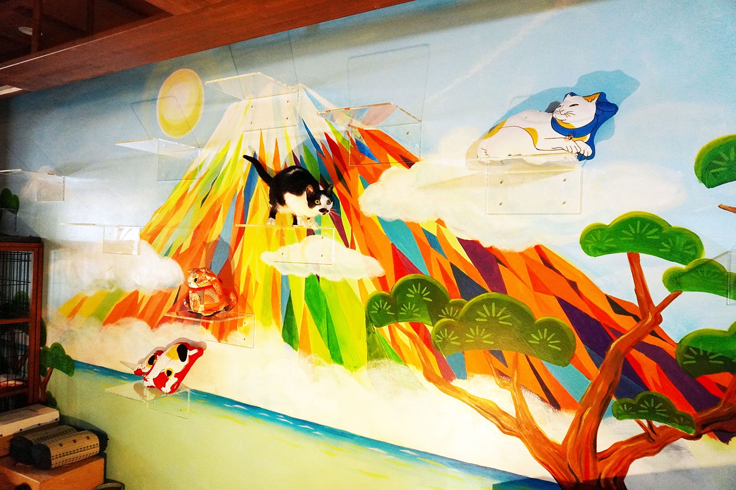 「ねこ浴場」日本初の銭湯風保護猫カフェが大阪・心斎橋にオープン