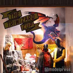 炎のゴブレット/ワーナー ブラザース スタジオツアー東京 – メイキング・オブ・ハリー・ポッター(C)モデルプレス