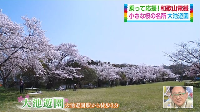 いちご、うめぼし…？バリエーションが豊か過ぎるローカル電車【和歌山・貴志川線編】