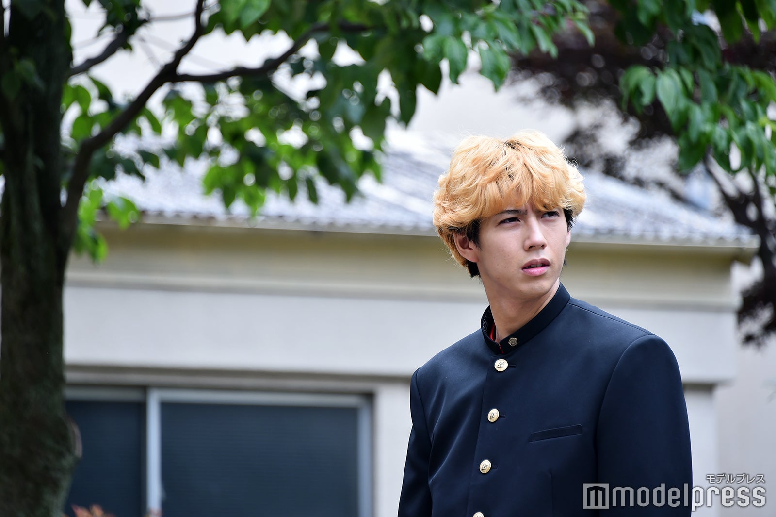 賀来賢人（C）モデルプレス