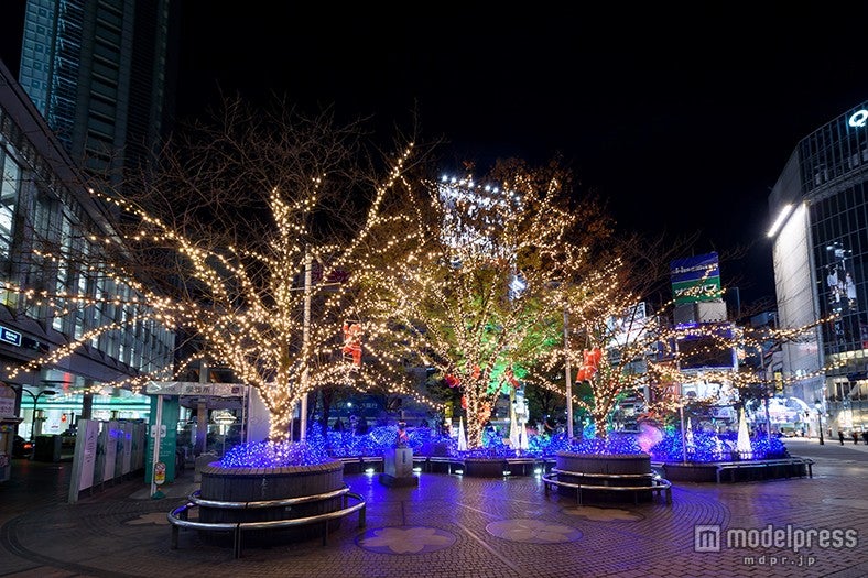 イルミネーションが灯された渋谷ハチ公前広場／画像提供：渋谷サンタフェスティバル実行委員会