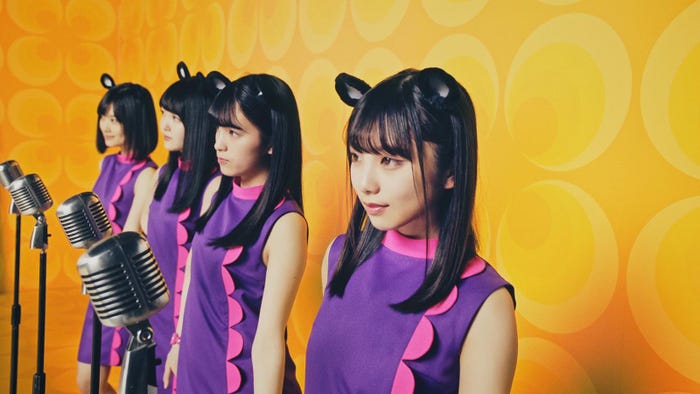 乃木坂46(提供写真)