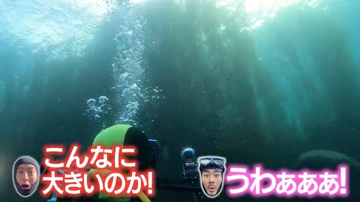 「ザ!鉄腕!DASH!!」より(C)日本テレビ