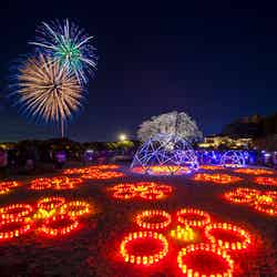 例年開催している夜梅祭の様子（イメージ）（C）茨城県