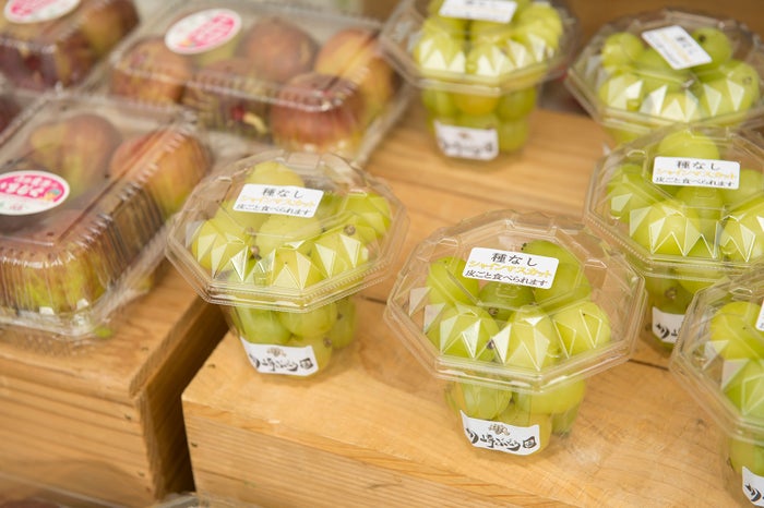 C’festa -­‐シェフェスタ-／画像提供：奈良フードフェスティバル実行委員会