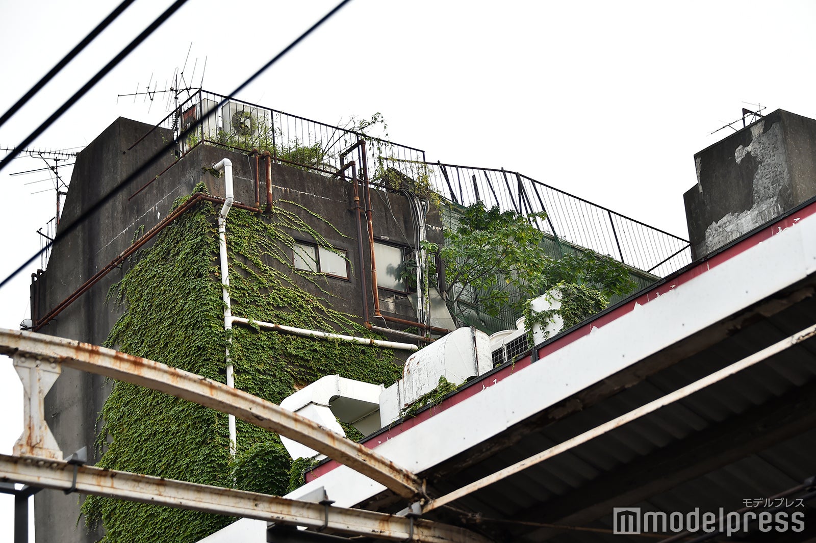 代々木会館（C）モデルプレス