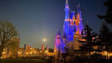 ディズニー 転売目的での購入 収まるか 利用約款 禁止行為 で転売に言及 モデルプレス