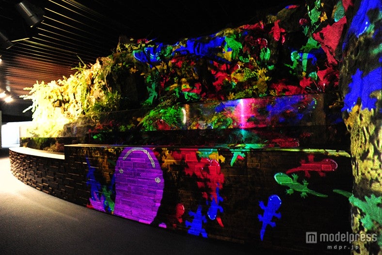 「京の川ゾーン」の3Dプロジェクションマッピング