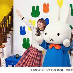 グリーティングギャラリー/提供画像