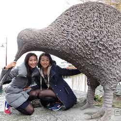 ニュージーランド固有の鳥、キーウィの像