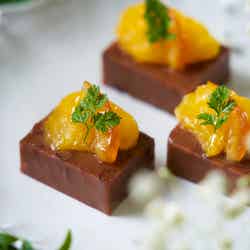 Healing Garden -New Retro Sweets×Glamping Recipes-/提供画像