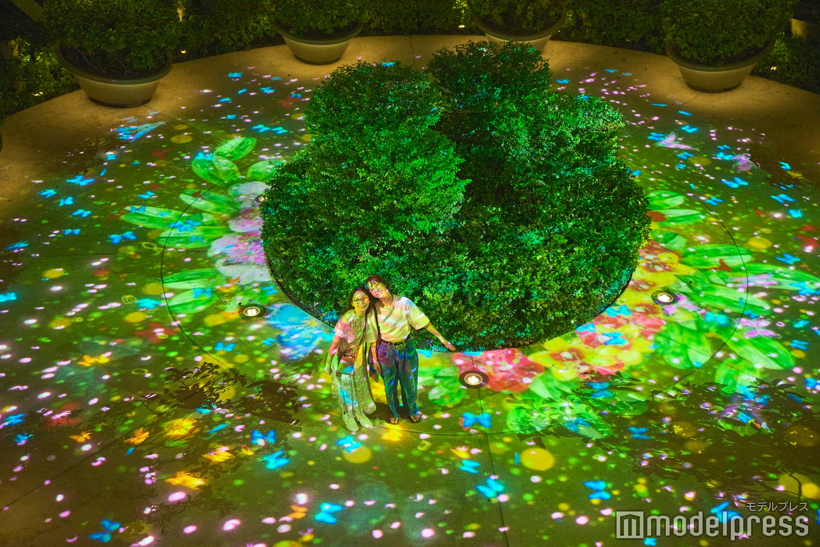 センソリースケープ（C）モデルプレス