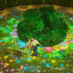 センソリースケープ(C)モデルプレス