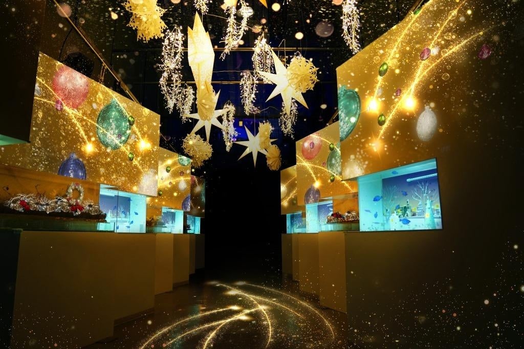 シューティング スター ストリート／画像提供：株式会社 横浜八景島